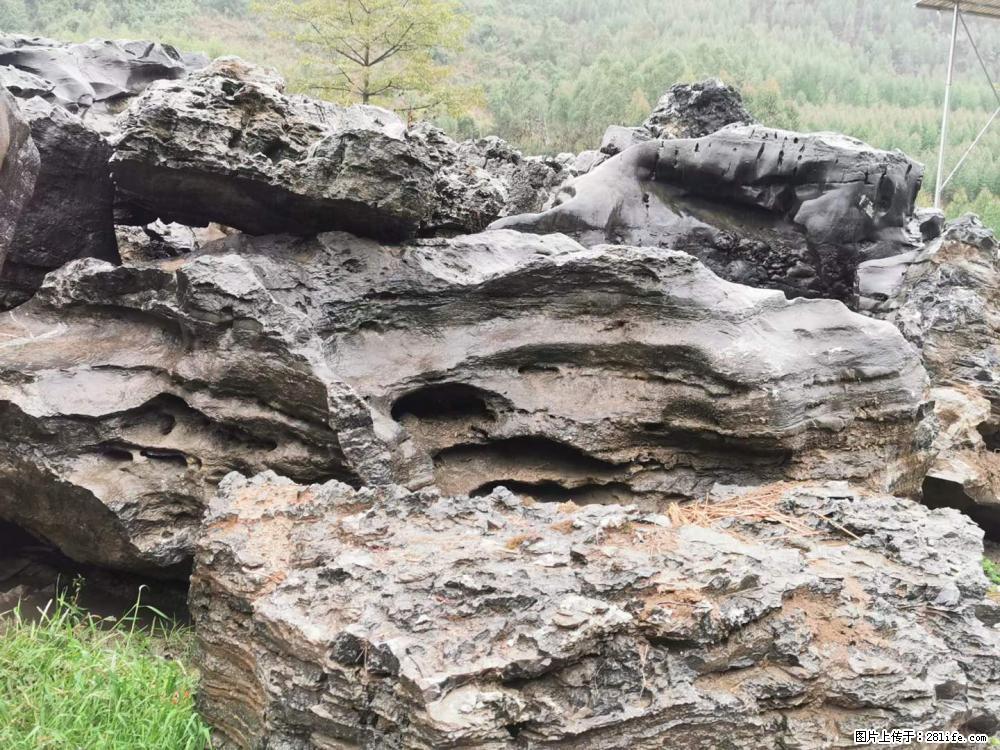 风景石、假山石大量有货，有需要的欢迎联系 - 新手上路 - 林芝生活社区 - 林芝28生活网 linzhi.28life.net