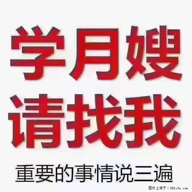 为什么要学习月嫂，育婴师？ - 新手上路 - 林芝生活社区 - 林芝28生活网 linzhi.28life.net