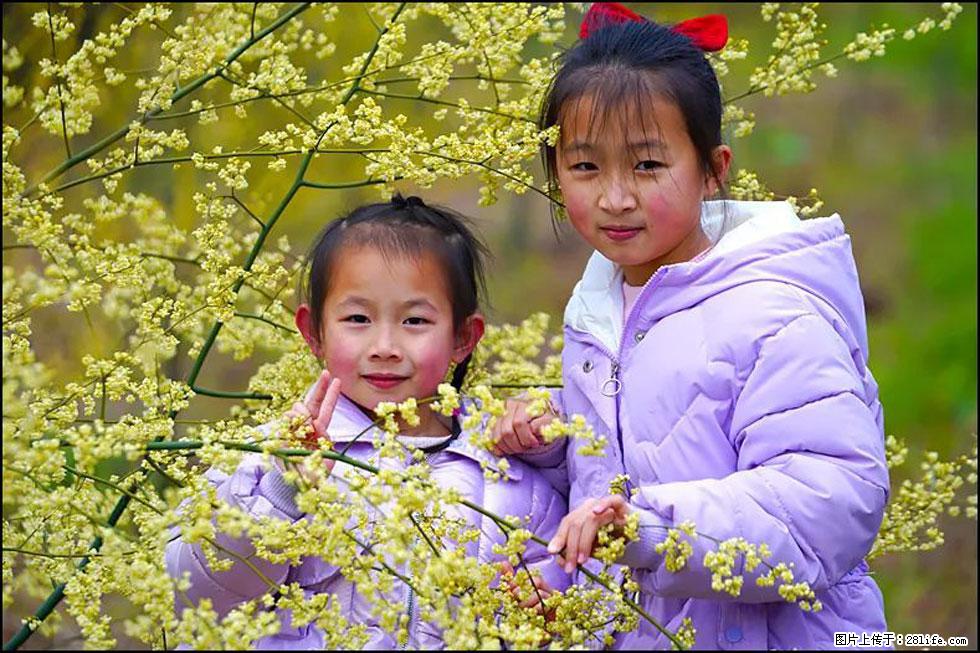 【春天，广西桂林灌阳县向您发出邀请！】米珠山前有片山苍子花在飘香 - 游山玩水 - 林芝生活社区 - 林芝28生活网 linzhi.28life.net
