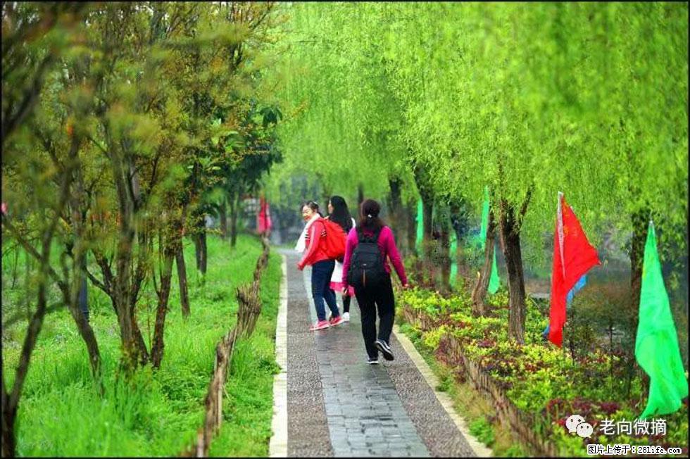 【春天，广西桂林灌阳县向您发出邀请！】江口老街又逢春 - 游山玩水 - 林芝生活社区 - 林芝28生活网 linzhi.28life.net