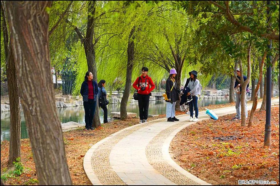 【春天，广西桂林灌阳县向您发出邀请！】江口老街又逢春 - 游山玩水 - 林芝生活社区 - 林芝28生活网 linzhi.28life.net