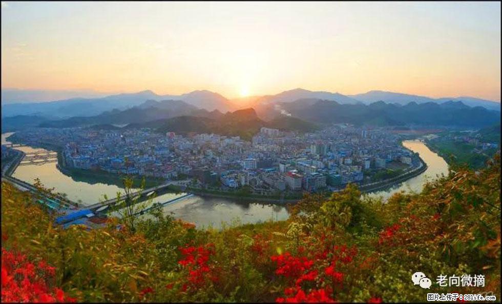 【春天,广西桂林灌阳县向您发出邀请!】登麒麟山,相约映山红 - 游山玩水 - 林芝生活社区 - 林芝28生活网 linzhi.28life.net