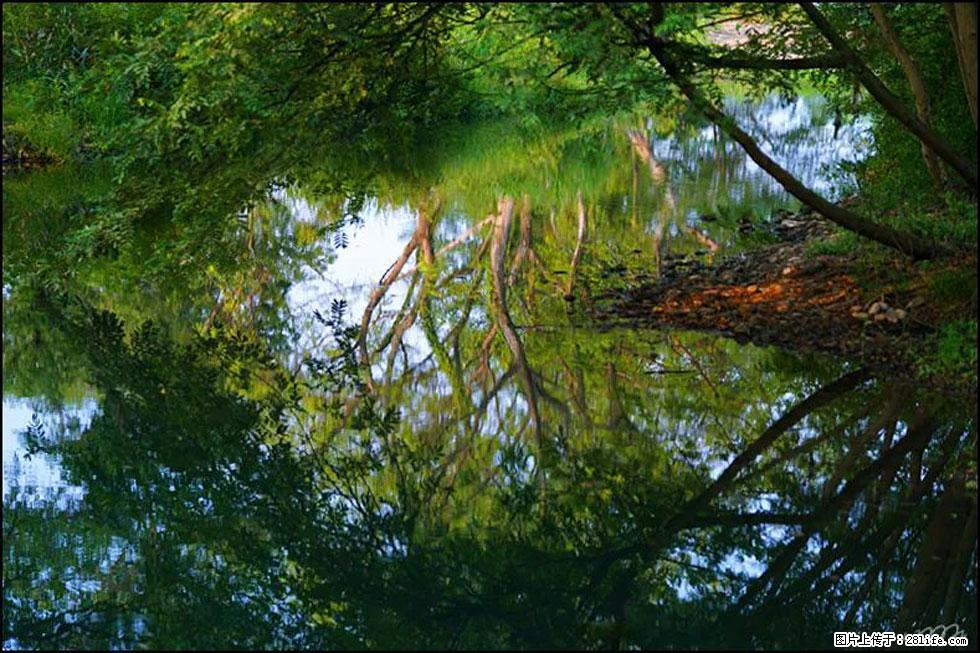 【春天，广西桂林灌阳县向您发出邀请！】熊家寨湿地公园 - 游山玩水 - 林芝生活社区 - 林芝28生活网 linzhi.28life.net