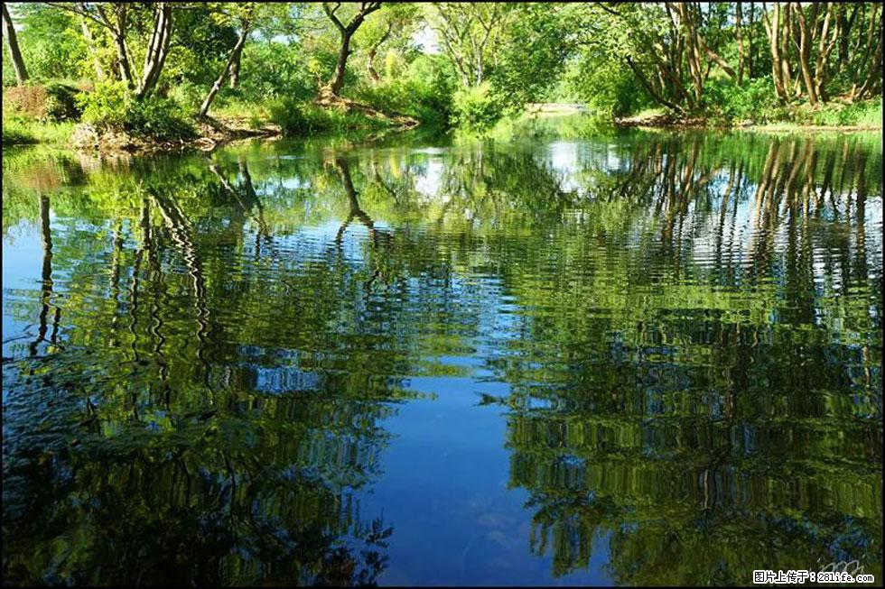 【春天，广西桂林灌阳县向您发出邀请！】熊家寨湿地公园 - 游山玩水 - 林芝生活社区 - 林芝28生活网 linzhi.28life.net