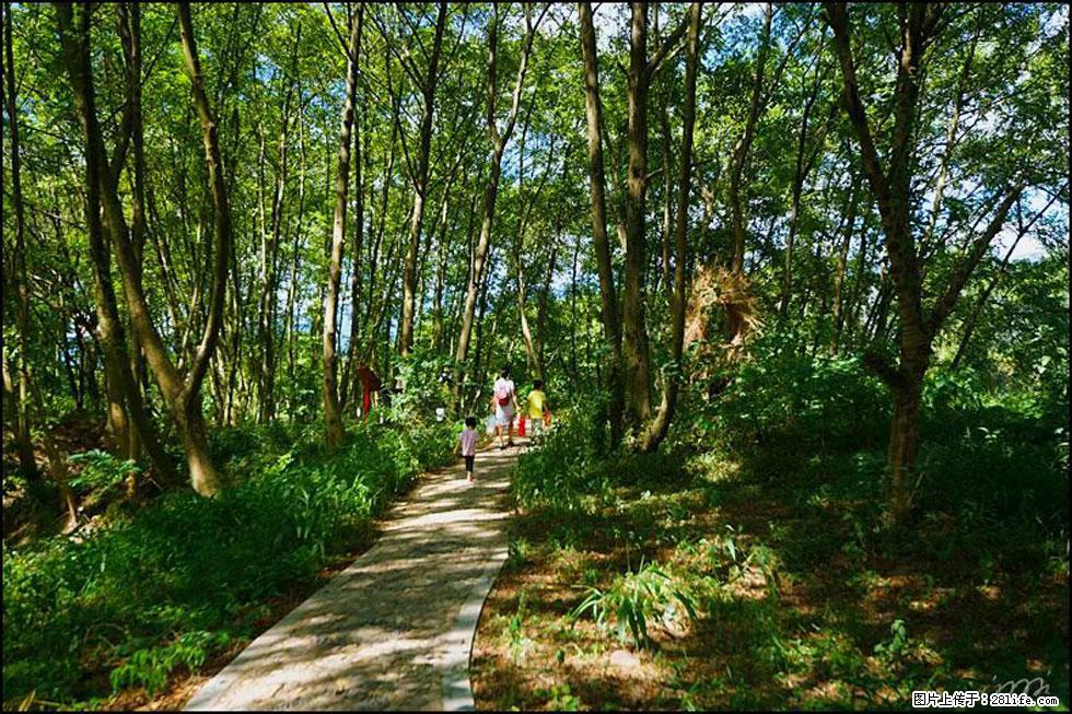 【春天，广西桂林灌阳县向您发出邀请！】熊家寨湿地公园 - 游山玩水 - 林芝生活社区 - 林芝28生活网 linzhi.28life.net