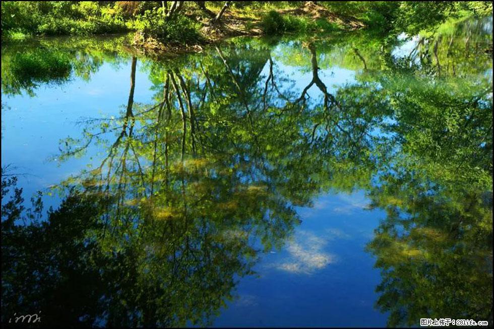 【春天，广西桂林灌阳县向您发出邀请！】熊家寨湿地公园 - 游山玩水 - 林芝生活社区 - 林芝28生活网 linzhi.28life.net