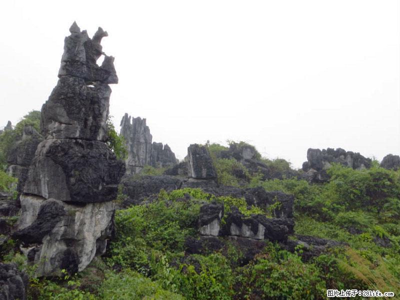 桂林旅游名城景点:灌阳文市石林 - 游山玩水 - 林芝生活社区 - 林芝28生活网 linzhi.28life.net