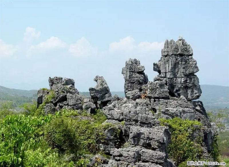 桂林旅游名城景点:灌阳文市石林 - 游山玩水 - 林芝生活社区 - 林芝28生活网 linzhi.28life.net