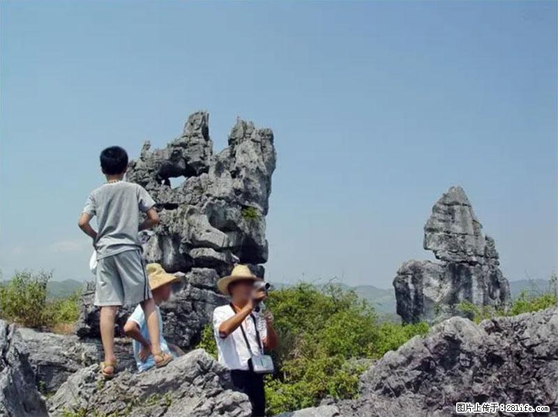 桂林旅游名城景点:灌阳文市石林 - 游山玩水 - 林芝生活社区 - 林芝28生活网 linzhi.28life.net
