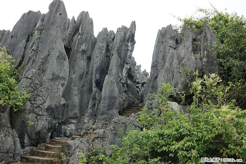 桂林旅游名城景点:灌阳文市石林 - 游山玩水 - 林芝生活社区 - 林芝28生活网 linzhi.28life.net
