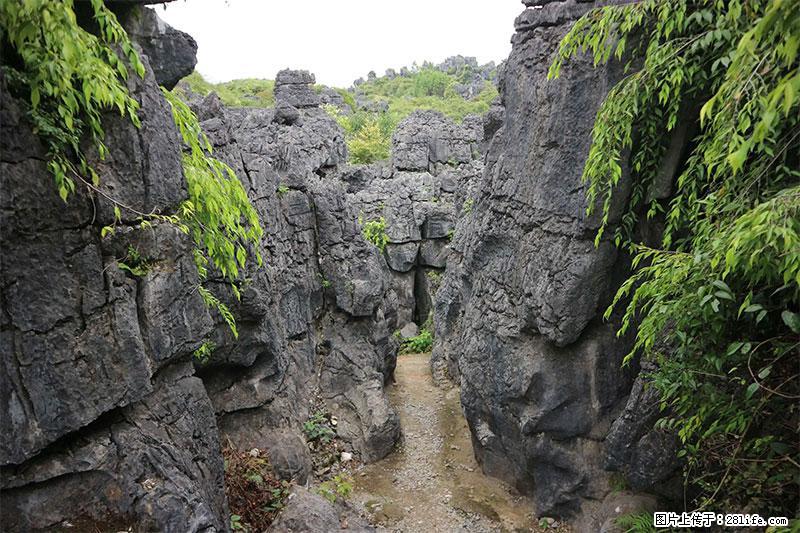 桂林旅游名城景点:灌阳文市石林 - 游山玩水 - 林芝生活社区 - 林芝28生活网 linzhi.28life.net