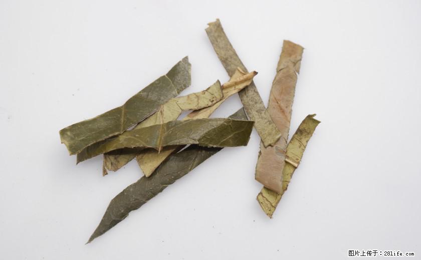 苦丁茶有哪些功效和作用 - 生活百科 - 林芝生活社区 - 林芝28生活网 linzhi.28life.net