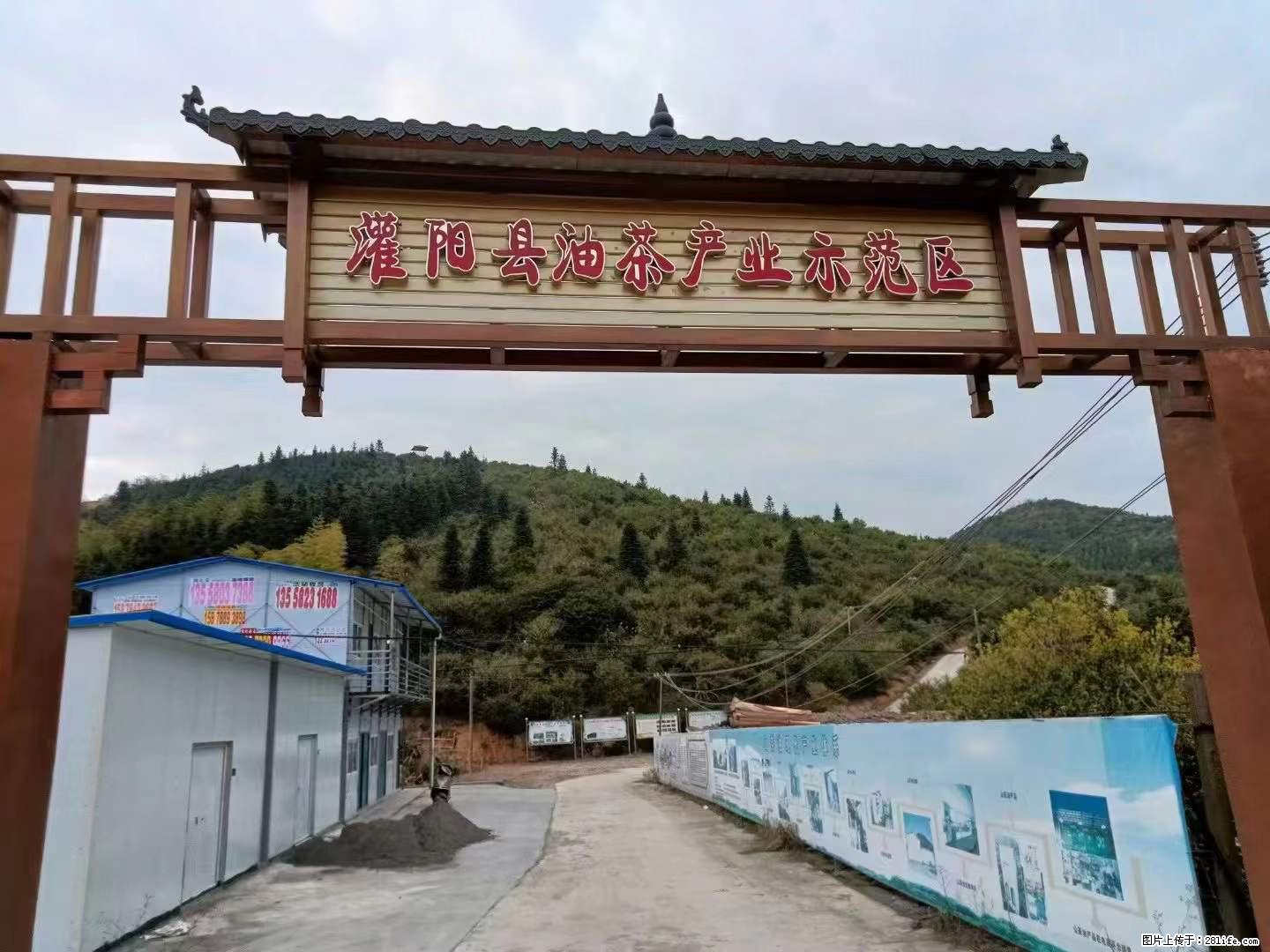 【灌阳县油茶产业示范区】一个有着充实的精神生活的人,对待身外之物自会有一种淡泊的态度 - 土特产 - 饮食特产 - 林芝分类信息 - 林芝28生活网 linzhi.28life.net