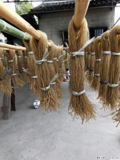【灌阳正宗红薯粉】美女家里自己做的，干净卫生，假一赔十，价格合理，抢购电话：13737312895 - 林芝28生活网 linzhi.28life.net