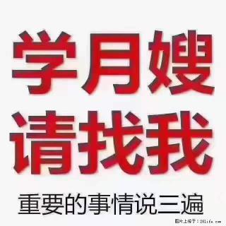 为什么要学习月嫂，育婴师？ - 林芝28生活网 linzhi.28life.net