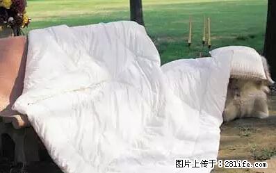 被子有异味?只要这样做,比晒太阳还强100倍! - 家居生活 - 林芝生活社区 - 林芝28生活网 linzhi.28life.net