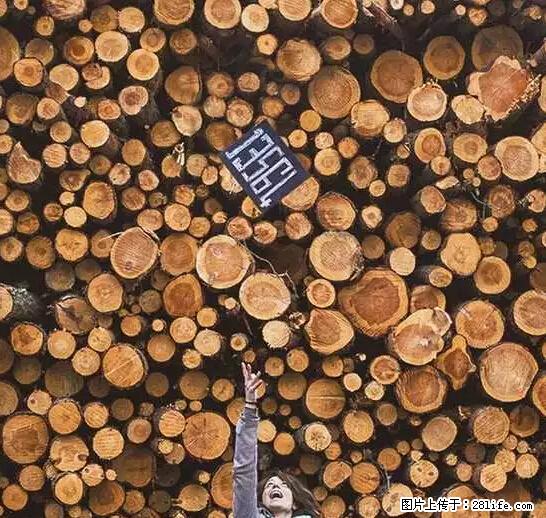 辞掉工作周游世界？现在他们在洗厕所…… - 游山玩水 - 林芝生活社区 - 林芝28生活网 linzhi.28life.net