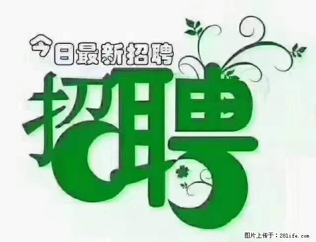 【招聘摄像师】待遇：试用期6000元/月，转正7000元/月+五险一金+餐补+节日福利+奖金 - 职场交流 - 林芝生活社区 - 林芝28生活网 linzhi.28life.net