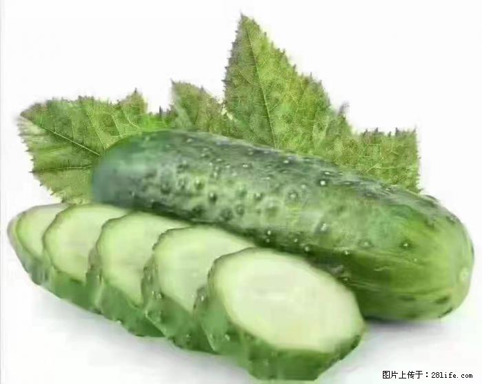 【生活小常识】吃黄瓜的好处 - 生活百科 - 林芝生活社区 - 林芝28生活网 linzhi.28life.net