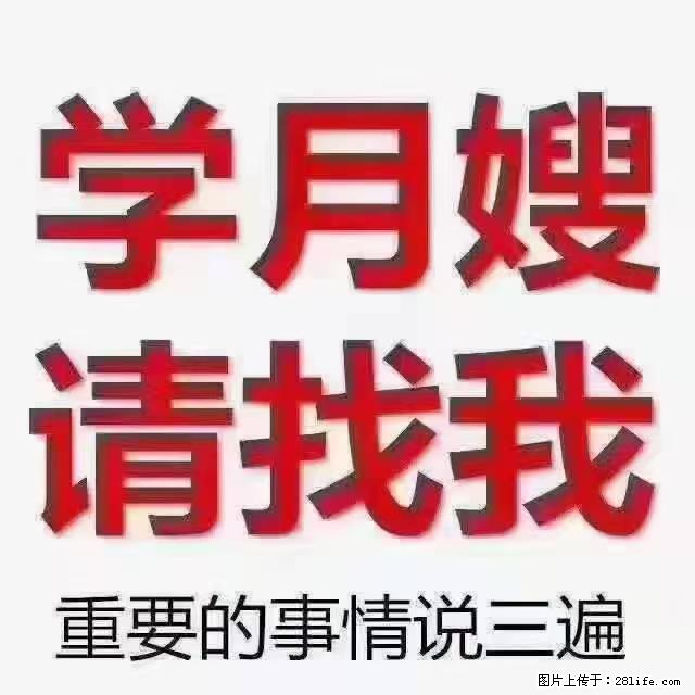 【招聘】月嫂，上海徐汇区 - 职场交流 - 林芝生活社区 - 林芝28生活网 linzhi.28life.net
