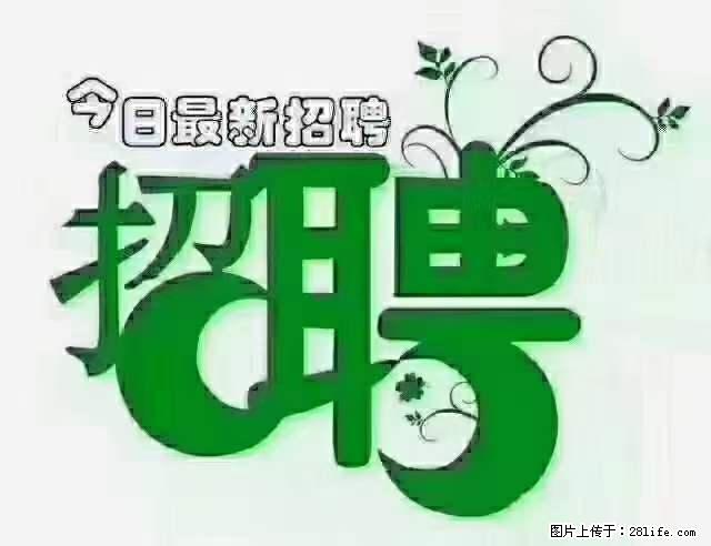 上海青浦区招仓管 - 职场交流 - 林芝生活社区 - 林芝28生活网 linzhi.28life.net