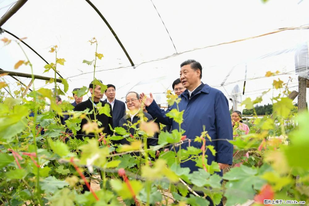 习近平赴广西考察调研 - 林芝生活资讯 - 林芝28生活网 linzhi.28life.net
