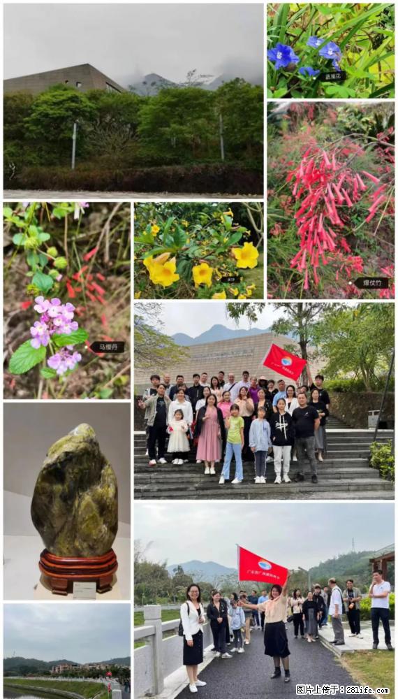 “粤灌文化 美好生活”油茶文化主题活动在广东深圳成功举办 - 林芝生活资讯 - 林芝28生活网 linzhi.28life.net